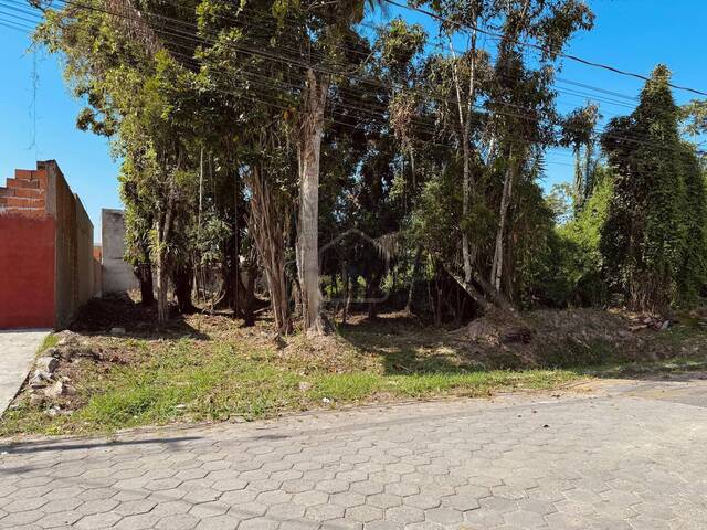 Terreno para Venda em Caraguatatuba - 5