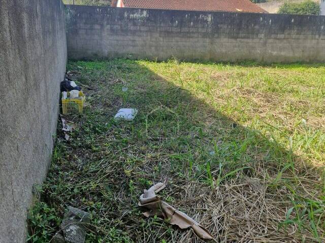 Terreno para Venda em Caraguatatuba - 5