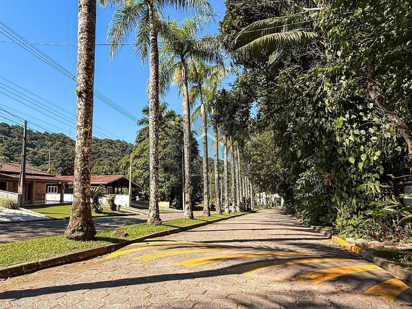 Casa, 4 quartos, 270 m² - Foto 7